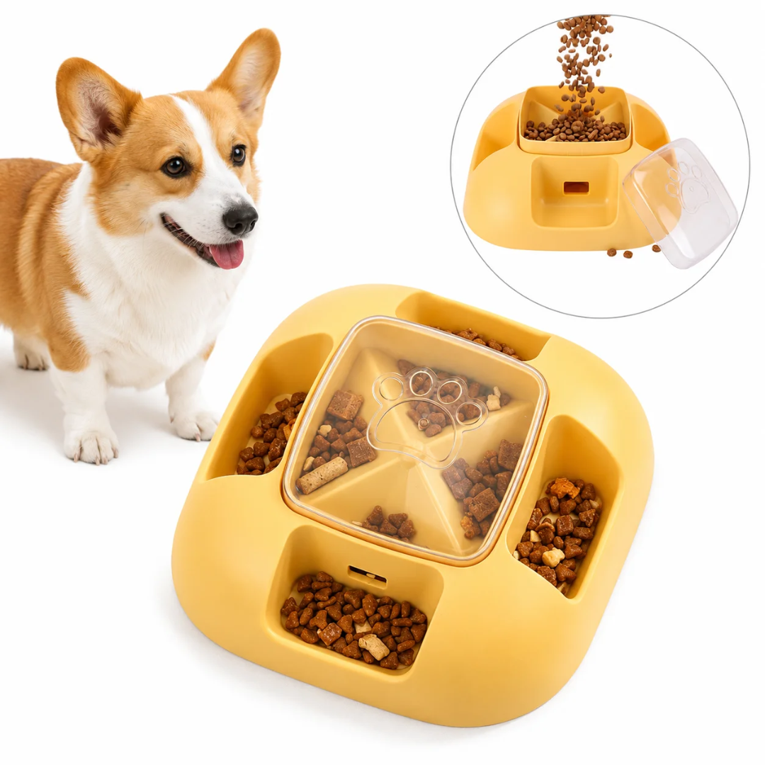 Automatic Press-Release Food Dispenser