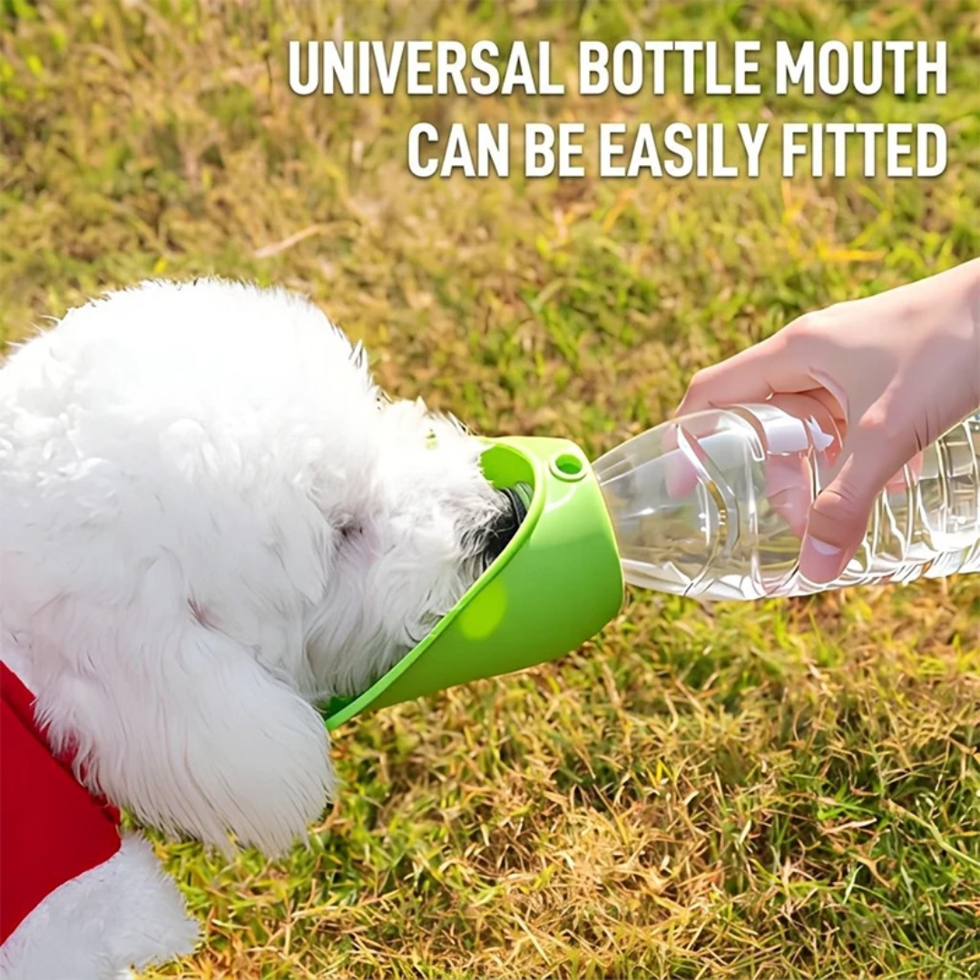 Portable Water Food Bottle