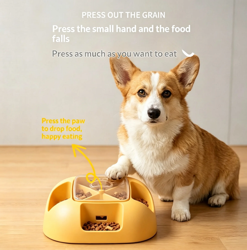 Automatic Press-Release Food Dispenser